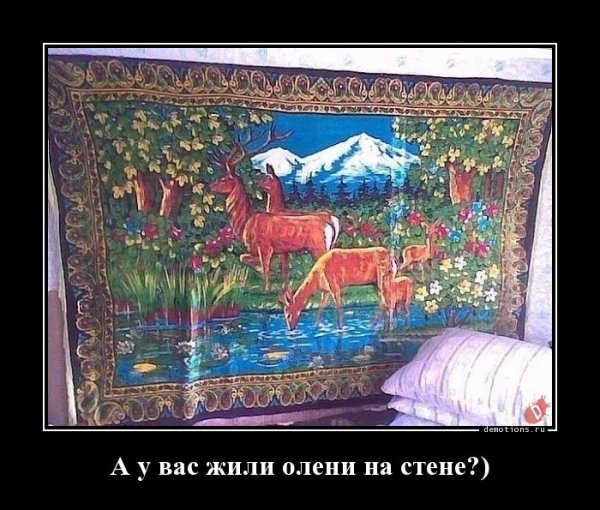 d5df01e1ffe39c2f 4 (97)