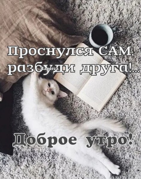 FB IMG 1774072724894