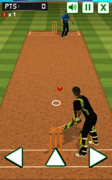 Cricket Batter Challenge
