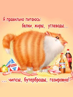 Я правильно питаюсь...