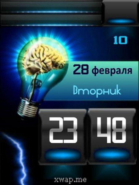 Brain (Patsak)