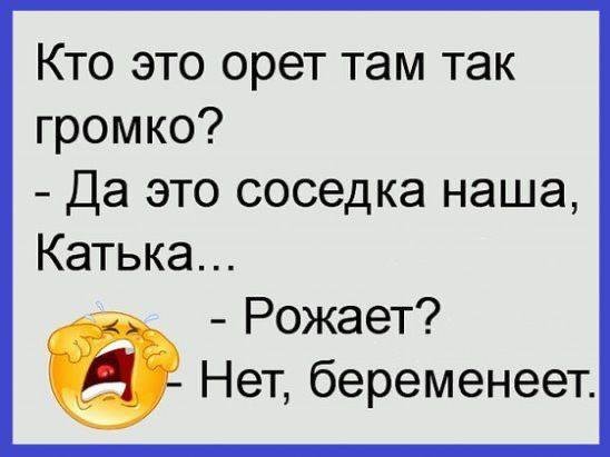 IMG 20260219 080848 321