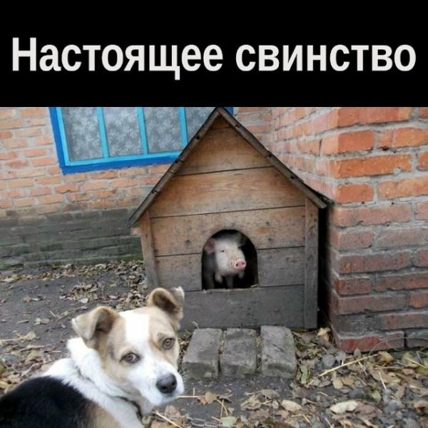 file_102667261