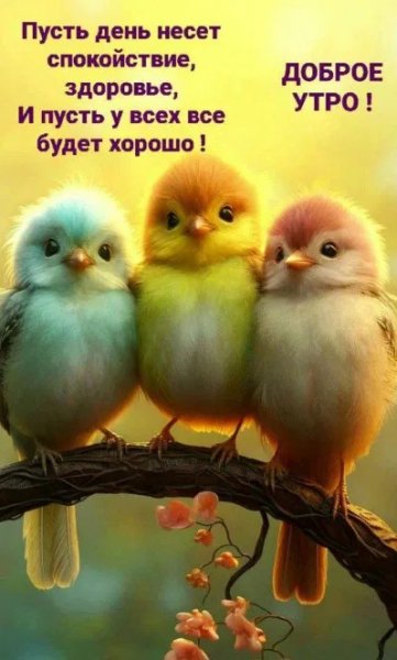 Доброе утро! ....