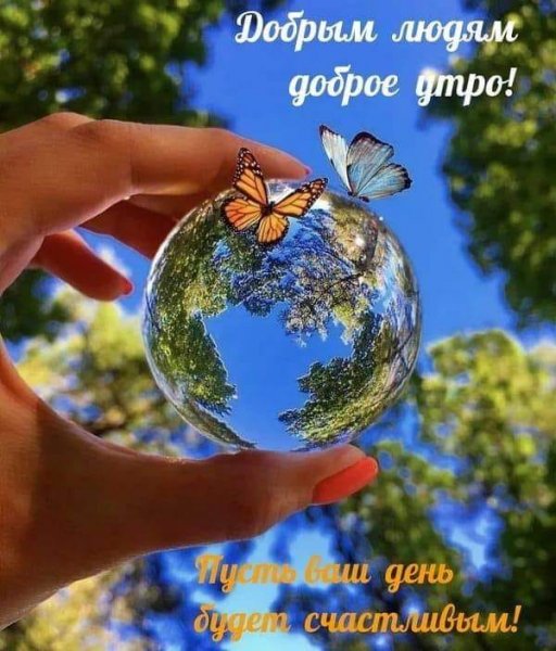 Доброе утро