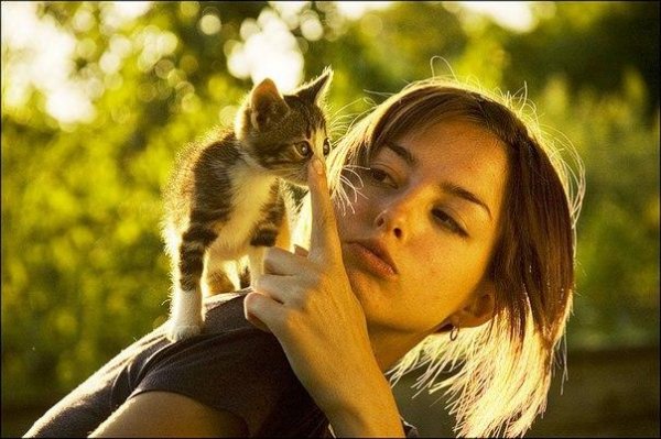 Ночная бабочка