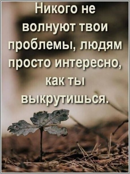 Img 5 1775682815064