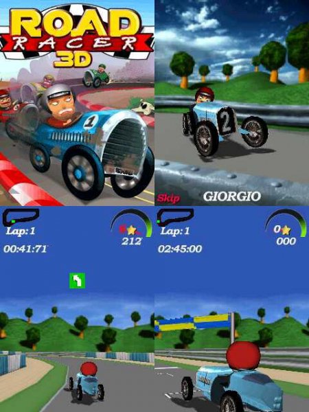 Road Race 3D 176x208 N70