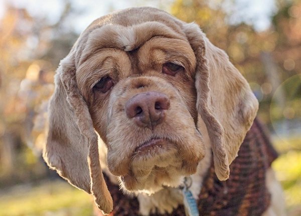 RXCGUFVNKYVNKE8XVE5VZ