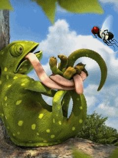 prikols anims 150