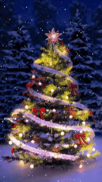 file_76001467