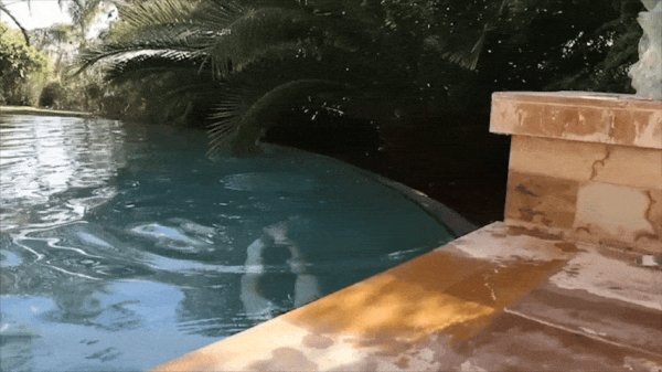 GIF-240610 194035