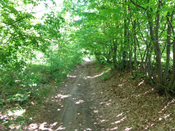 DSC04002