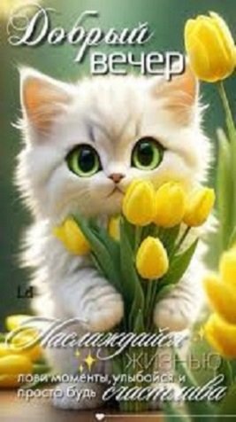 Добрый вечер!