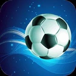 winners soccer evolution v1.6.4