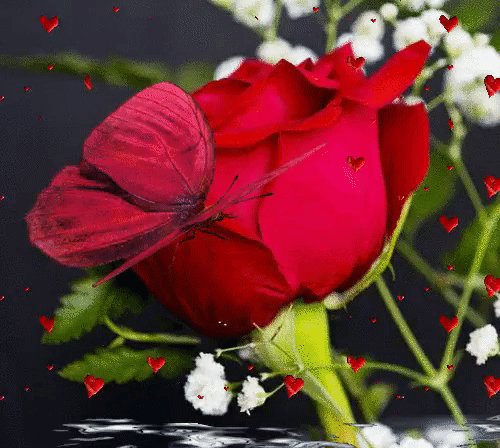 IMG 20161217 182751 10