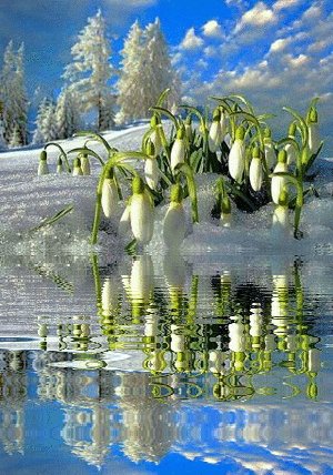 file_76497119
