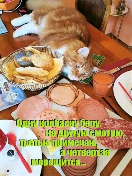 FB IMG 1777750348510