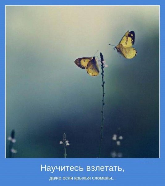 Научитесь взлетать...