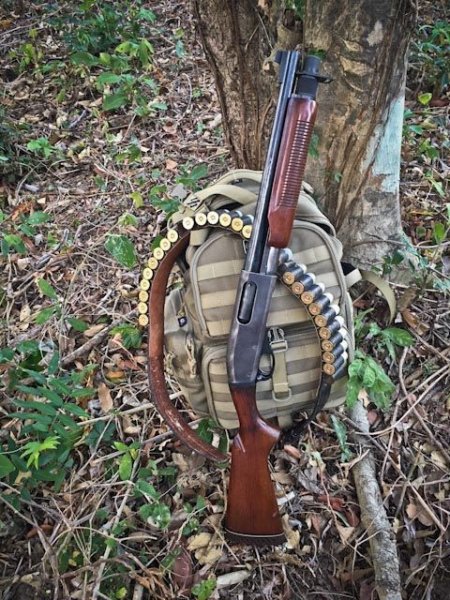 f61488897799ee00e110795315578cef