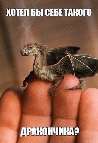 tmp 5037-MXpXAA2tic4-1170754290