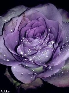 file_49930045