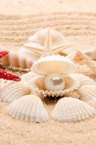 file_77956875