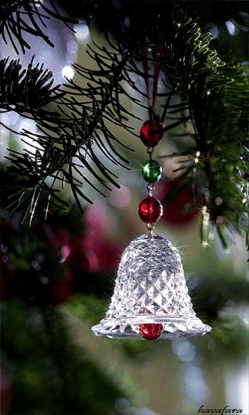 25ade008b8fc3a95d59f67be91d3a971