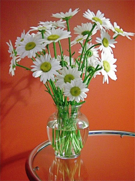 Ромашки в вазе на столе