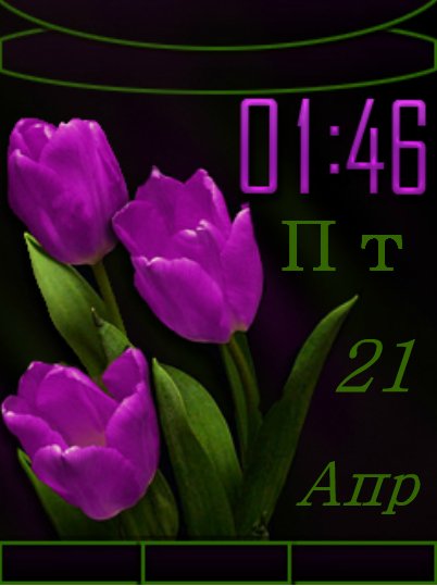 Тюльпаны (DX)