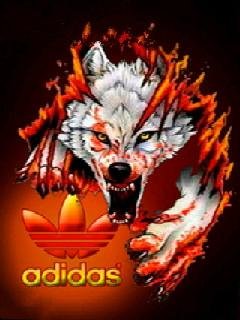 Adidas wolf