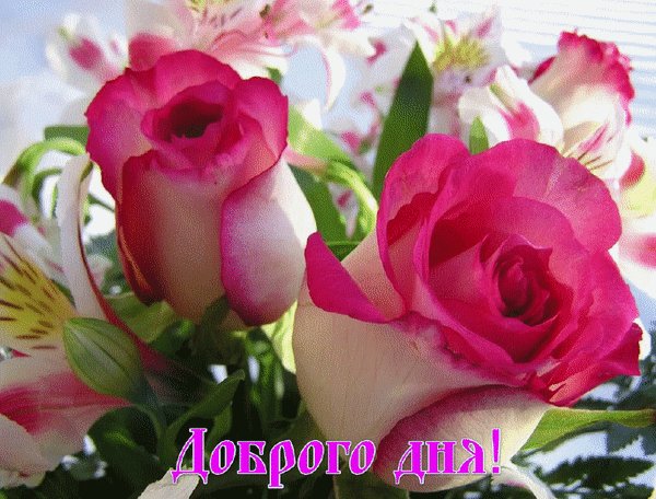 Анимированная открытка доброго дня