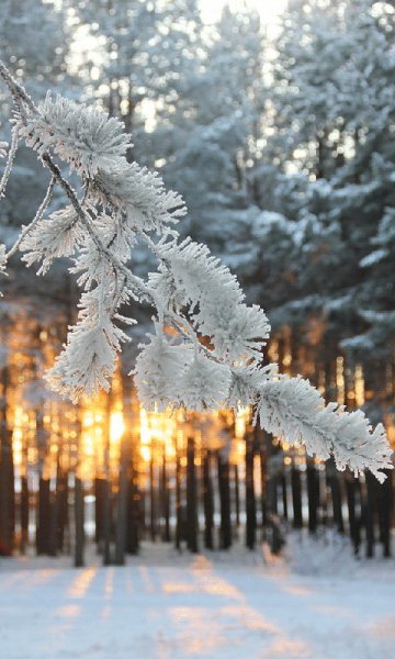 file_72628244