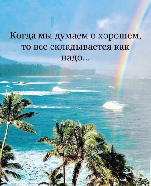 IMG 20250223 055049