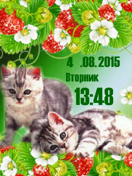 Котята