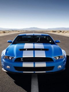 Ford shelby car