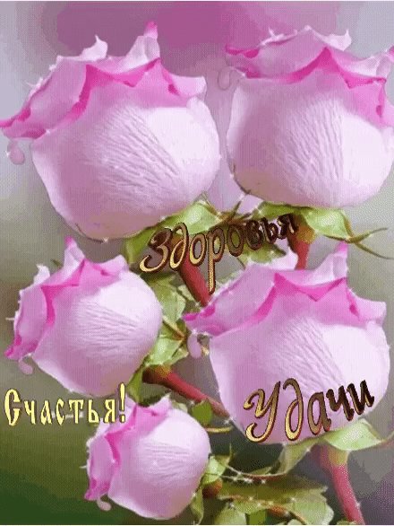 IMG 20260105 060623