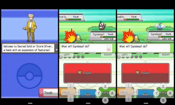 Pokemon Storm Soul Silver (Hack)