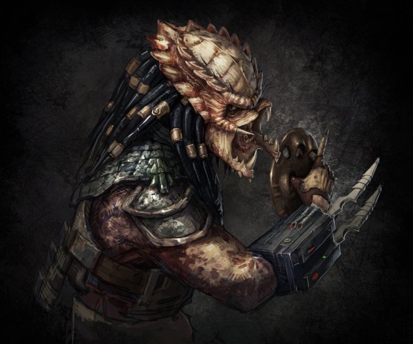 tvar-prishelets-predator-khishchnik-fon