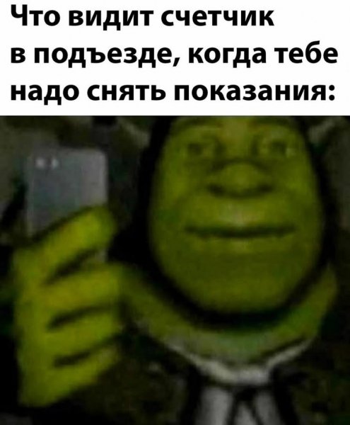 А как смотреть показания если у меня фонарик не работает?