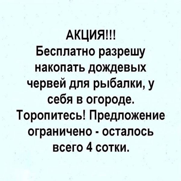 IMG 20251102 074359 456