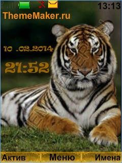 Tigr