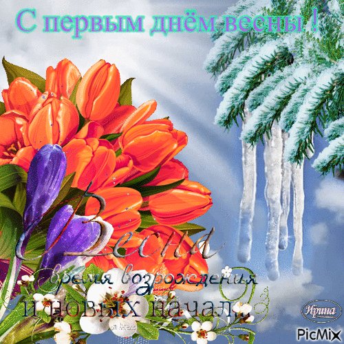 IMG 20240301 010048