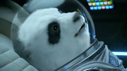 99px ru animacii 10419 panda uletaet v kosmos