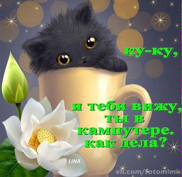 ку-ку,я тебя вижу,ты в кампутере,как дела?