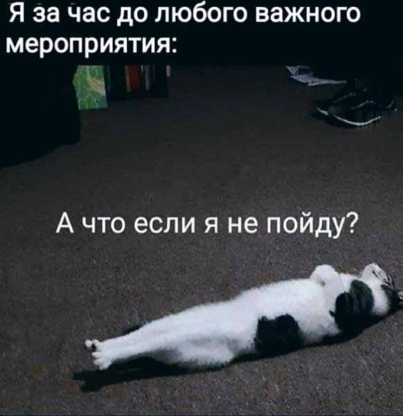 IMG 20260516 005242 046