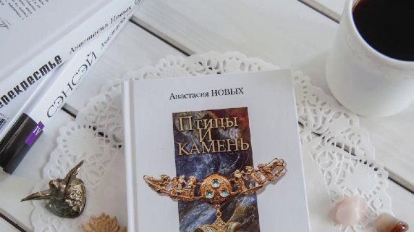 07.Птицы и камень. Дежурство