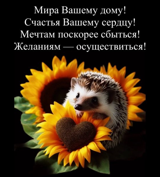 IMG-9aa3c3bec859b98f3df5506a552f6e25-V