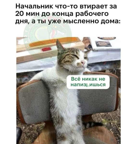 FB IMG 1777317990510