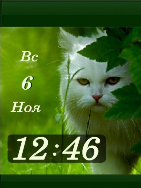 My territory - my rules (19-10)